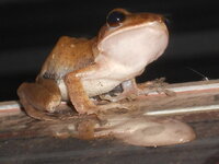 DSCN0194.JPG