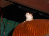 DSCN0190.JPG