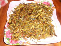 DSCN0611.JPG