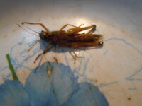 DSCN0624.JPG