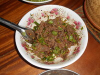 DSCN9570.JPG