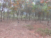 DSCN9786.JPG