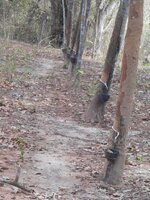 IMG_20171225_215134.jpg
