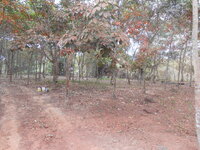 DSCN9787.JPG