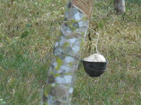 DSCN9794.JPG