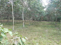 DSCN9793.JPG