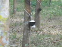 DSCN9798.JPG