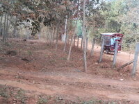 DSCN9791.JPG
