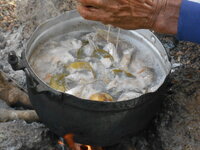 DSCN9868.JPG