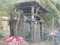 DSCN9882.JPG