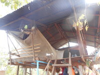 DSCN9886.JPG