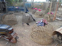 DSCN9841.JPG