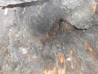 DSCN9823.JPG