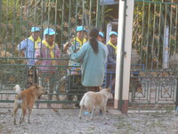 DSCN8965.JPG