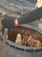 DSCN9668.JPG