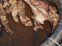DSCN9672.JPG