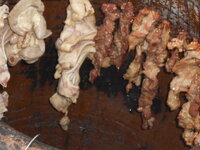 DSCN9670.JPG
