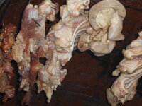DSCN9674.JPG