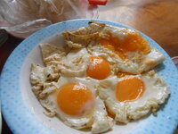 DSCN0284.JPG
