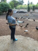 IMG_20171230_163255.jpg