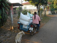 DSCN8920.JPG