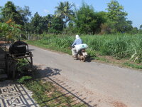 DSCN0287.JPG