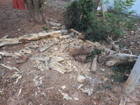 DSCN9014.JPG