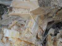 DSCN9011.JPG