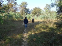 DSCN9619.JPG