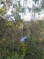 DSCN9614.JPG