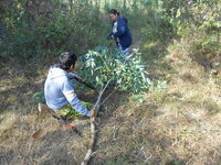 DSCN9624.JPG