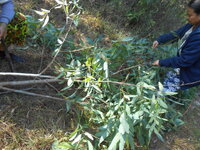 DSCN9623.JPG