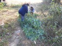 DSCN9622.JPG