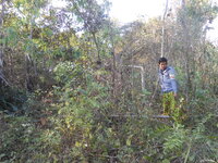DSCN9621.JPG
