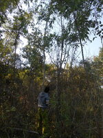 DSCN9616.JPG