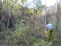 DSCN9615.JPG