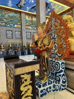 IMG_7919.jpeg