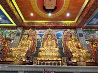 IMG_7930.jpeg