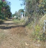 IMG_20200717_152721.jpg