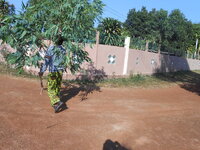 DSCN9633.JPG