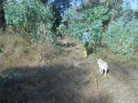 DSCN9627.JPG