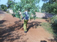 DSCN9632.JPG
