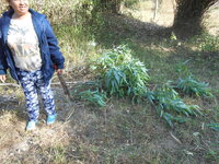 DSCN9626.JPG