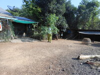 DSCN9636.JPG