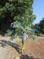 DSCN9635.JPG