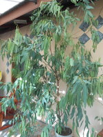 DSCN9639.JPG