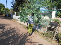 DSCN9634.JPG