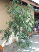 DSCN9638.JPG