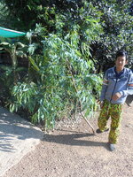 DSCN9637.JPG