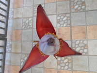 DSCN9773.JPG DSCN9773.JPG